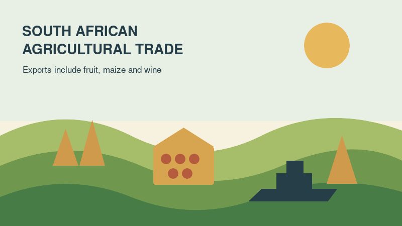 Illustration of South African agricultural products and exports