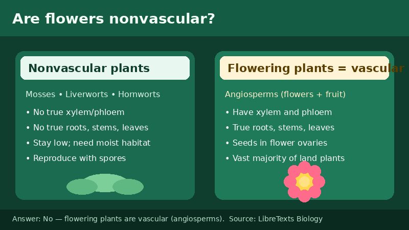 Educational comparison of nonvascular plants versus vascular flowering plants