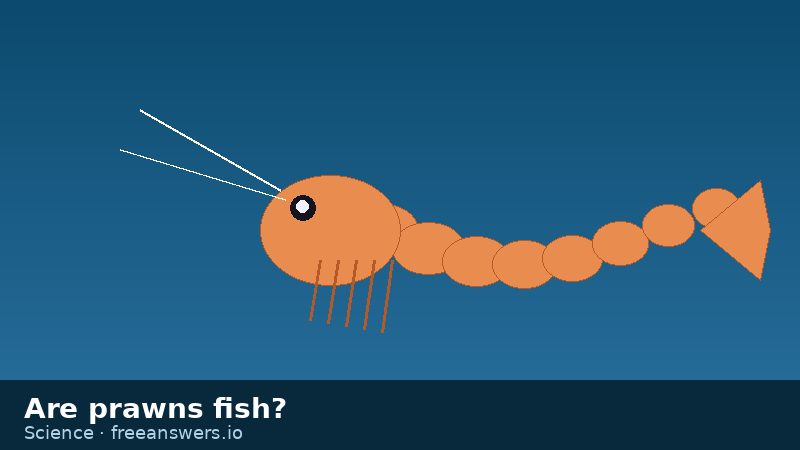 Stylized illustration of a prawn swimming in blue water