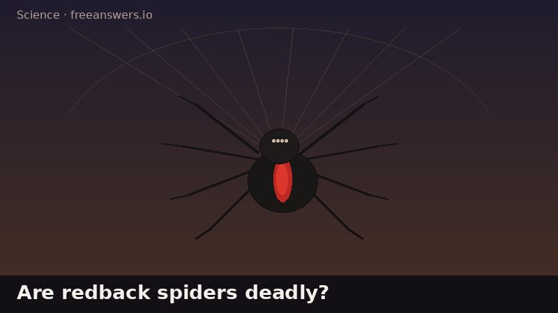 Stylized illustration of an Australian redback spider with a red abdominal stripe