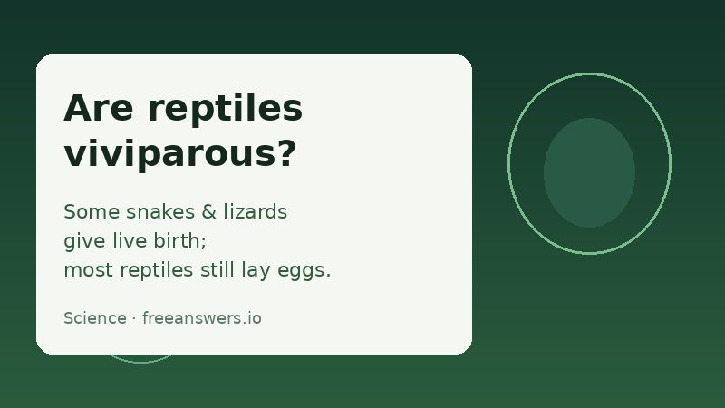 Infographic answering whether reptiles are viviparous
