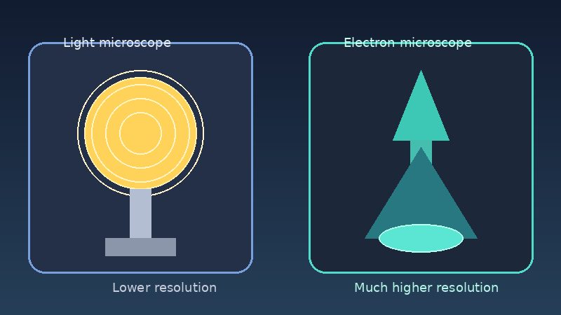Illustration comparing a light microscope and an electron microscope