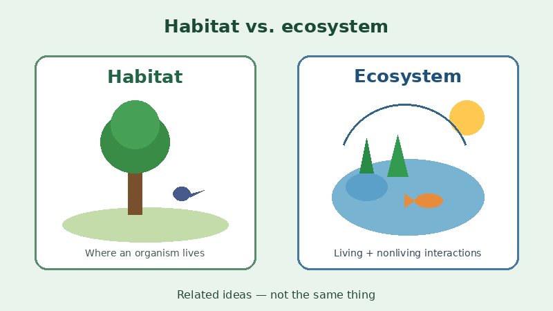 Simple comparison graphic of habitat versus ecosystem