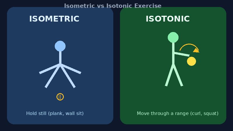 Diagram comparing isometric static holds and isotonic moving exercises