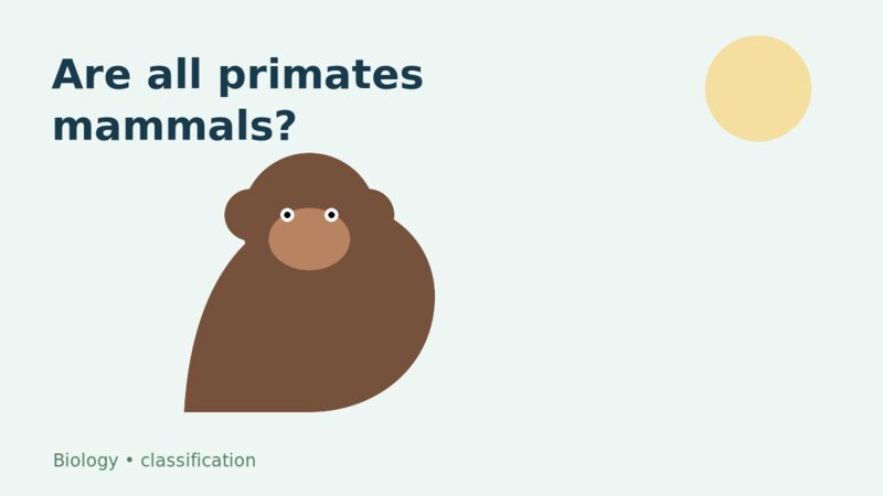 Illustration of a primate on a branch for the question “Are all primates mammals?”