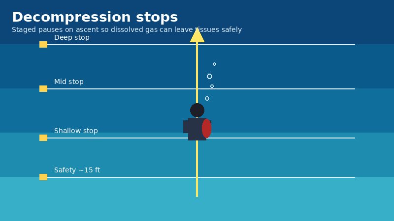 Illustration of a scuba diver ascending with staged decompression stops marked at different depths