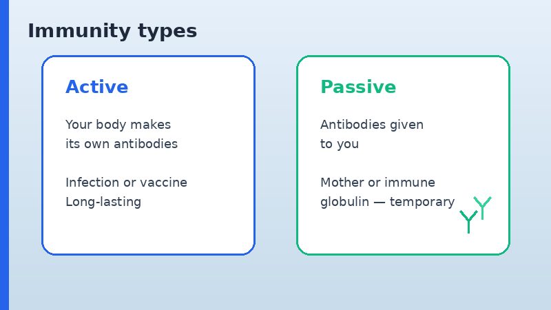 Simple diagram comparing active immunity and passive immunity