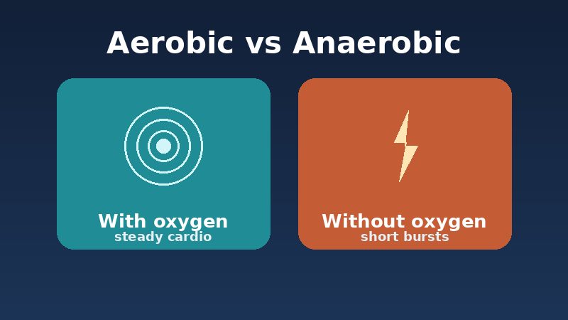 Graphic comparing aerobic exercise (with oxygen) and anaerobic exercise (without oxygen)