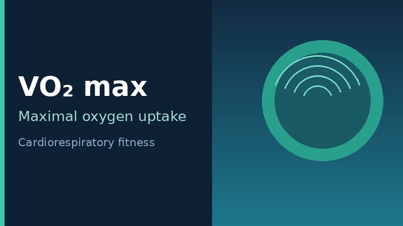Illustration representing VO2 max cardiorespiratory fitness