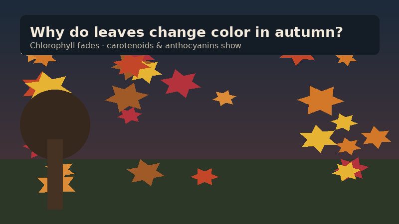 Autumn leaves showing red, orange, and yellow fall colors