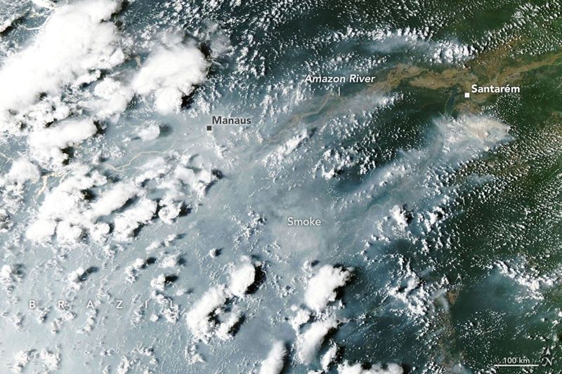 Satellite view of smoke plumes rising from fires in the Amazon rainforest