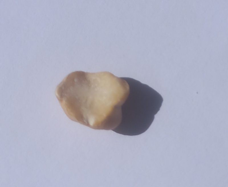 Dried chickpeas, the usual source of aquafaba