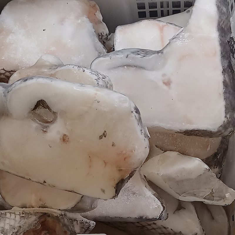 Frozen cod fillet portions covered in frost in a plastic crate