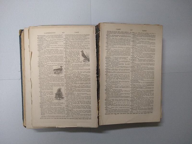 An old Webster's dictionary lying open