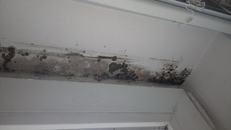Dark mold and mildew spots along a damp window frame indoors
