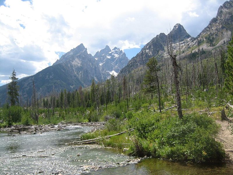 A stream and forest below the jagged peaks of Grand Teton National Park in Wyoming