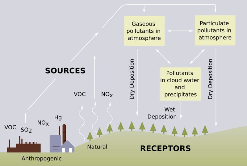 Diagram showing how emissions lead to acid rain