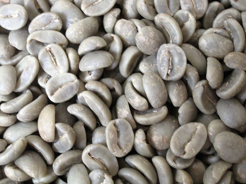 Pile of green, unroasted coffee beans