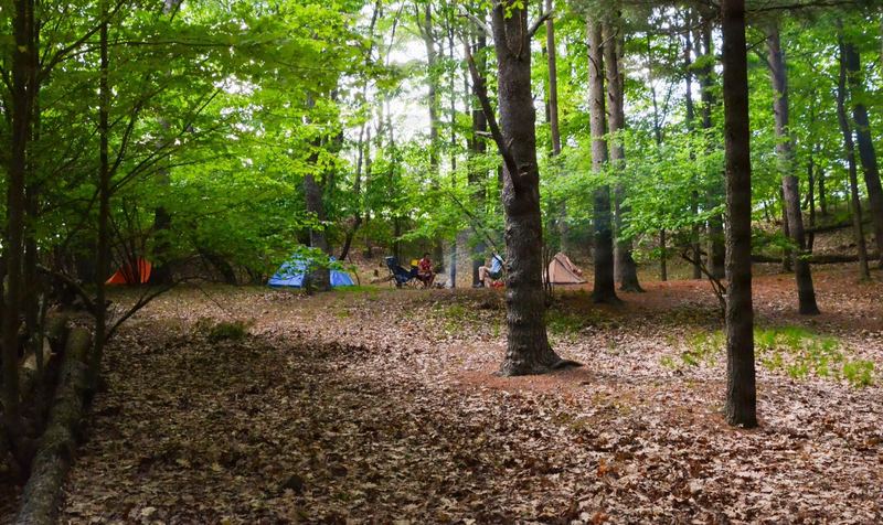 Tents and campers at a dispersed campsite among trees in Manistee National Forest, Michigan