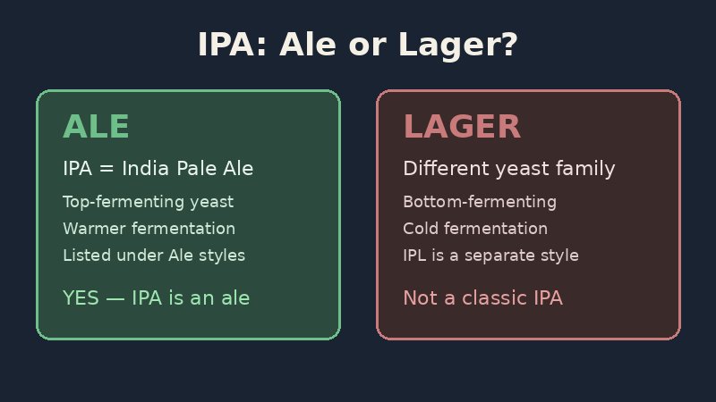 Diagram comparing IPA as an ale versus lager beer styles