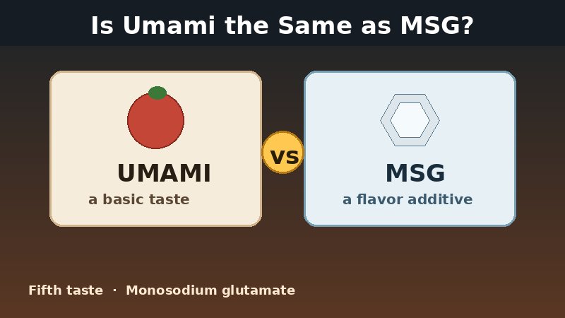 Illustration comparing umami taste and MSG additive