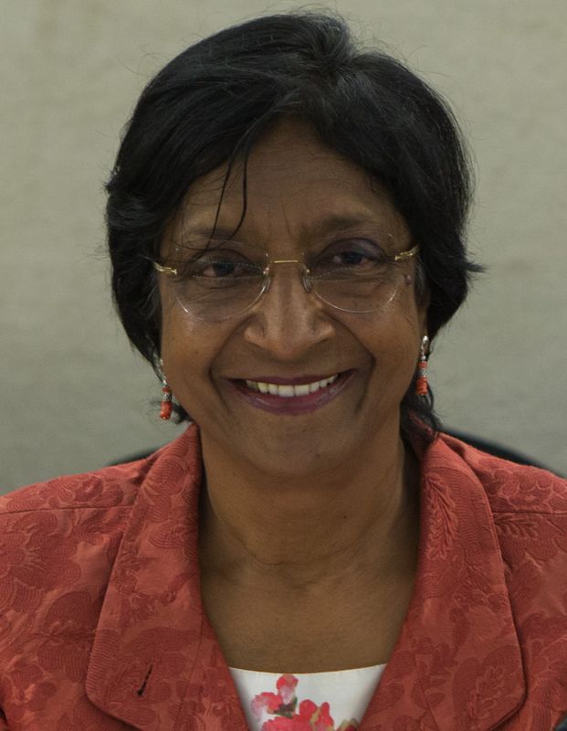 Navi Pillay in June 2014