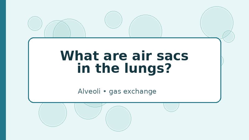 Infographic answering what air sacs in the lungs are