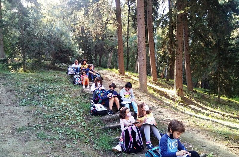 Primary school children sitting on a wooded hillside with notebooks during an outdoor lesson among tall trees
