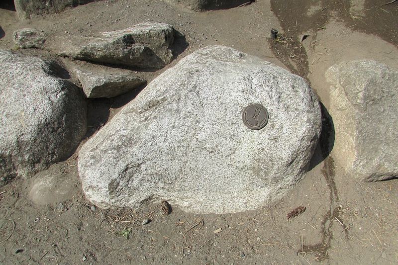Speckled light-gray granite boulder showing grains of feldspar, quartz and dark biotite