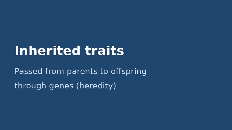 Inherited traits pass from parents to offspring through genes