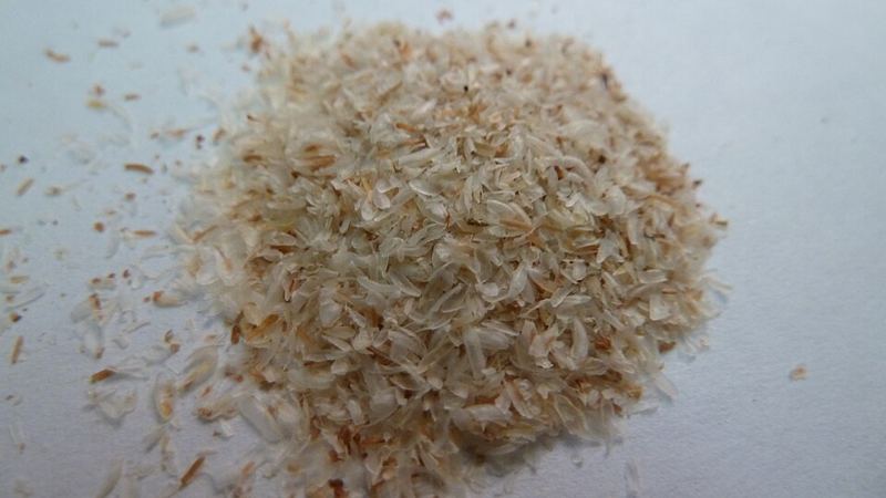A small pile of pale psyllium seed husks, a common fiber laxative, on a white surface