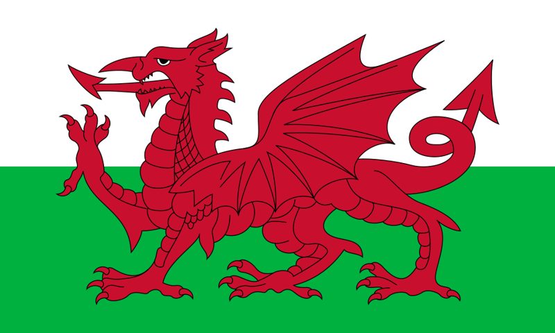 The national flag of Wales, a red dragon on a field of white and green