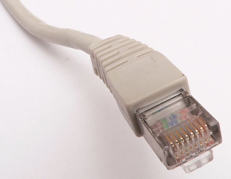 Close-up of a grey Ethernet cable ending in a clear RJ45 plug with eight gold contacts