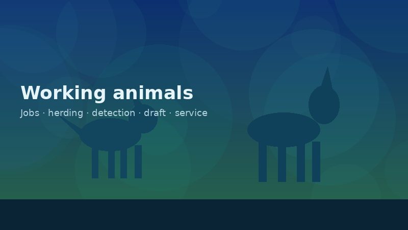 What are some jobs for working animals?