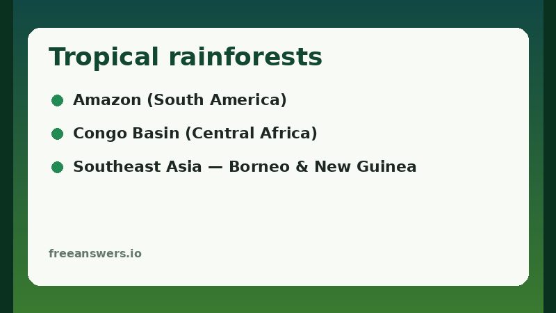 Infographic naming major tropical rainforests: Amazon, Congo Basin, Southeast Asia