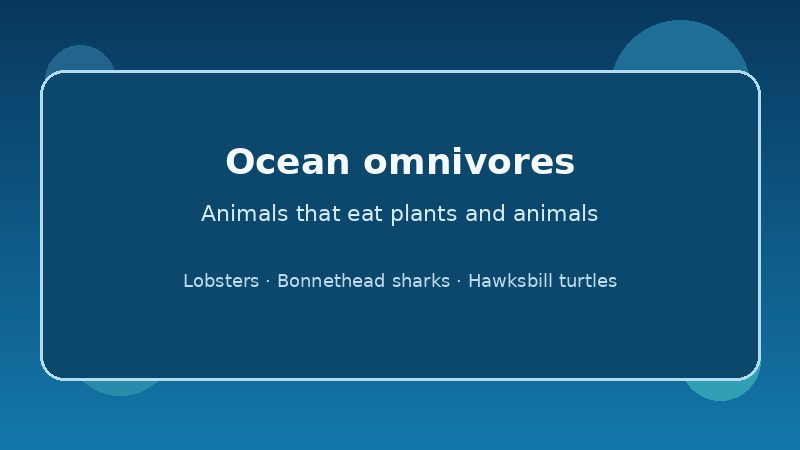 Graphic listing ocean omnivores such as lobsters, bonnethead sharks, and hawksbill turtles