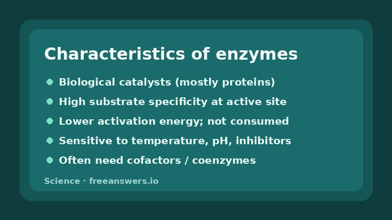 Infographic listing key characteristics of enzymes: catalysts, specificity, activation energy, cofactors