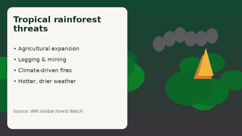 Infographic listing major threats to tropical rainforests including agriculture and fires