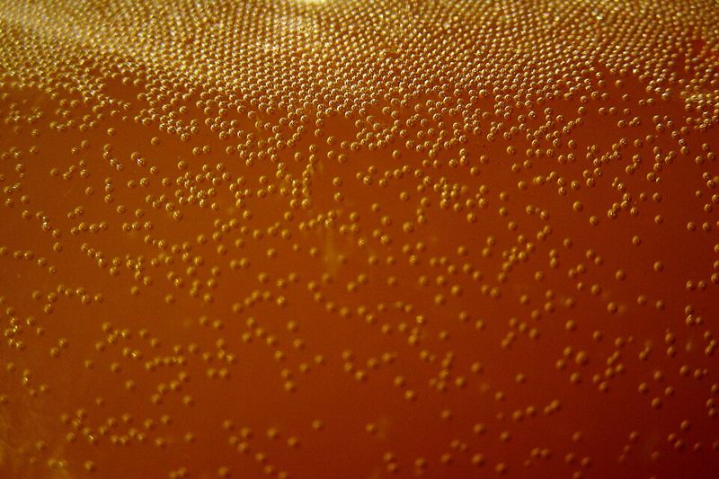 Close-up of carbon dioxide bubbles rising in a liquid during yeast fermentation