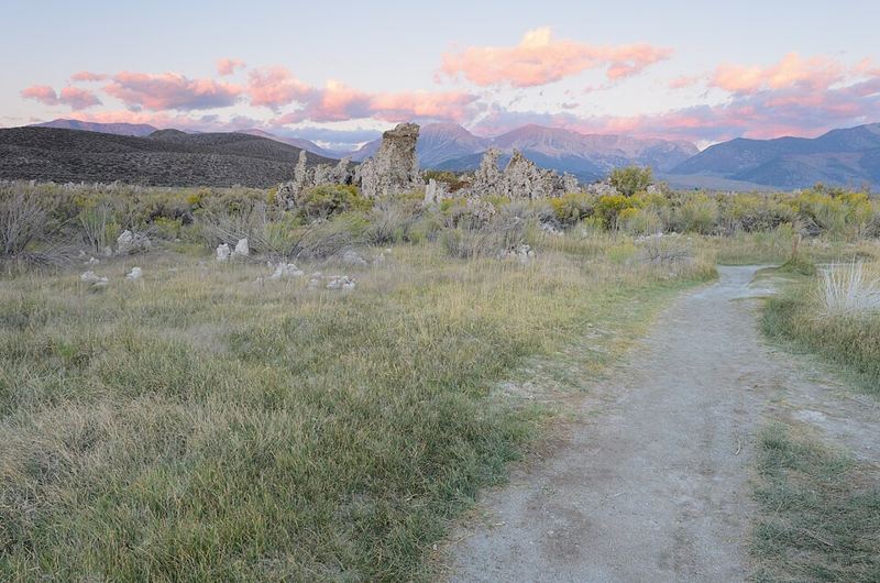 Limestone tufa towers rising above sagebrush at South Tufa, Mono Lake, California