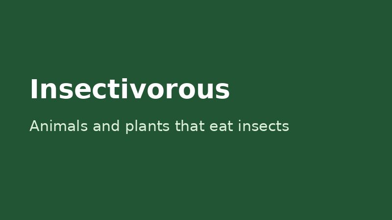 Insectivorous animals and plants eat insects