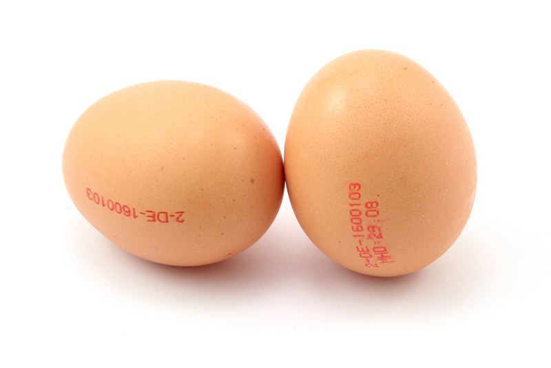 Two brown chicken eggs on a white background