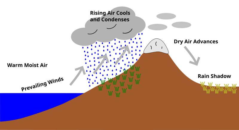 Diagram of moist air rising up the windward side of a mountain and dropping rain, with dry air descending into a rain shadow on the far side