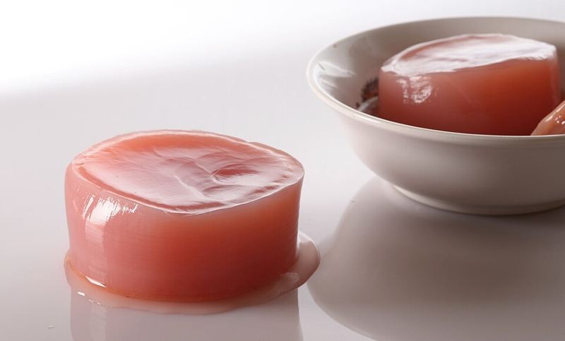 Two discs of kombucha SCOBY, the rubbery culture of bacteria and yeast used to ferment sweetened tea