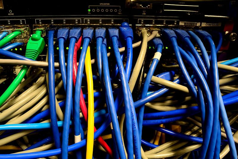 Blue, yellow, red and green Ethernet cables plugged into the ports of a network switch