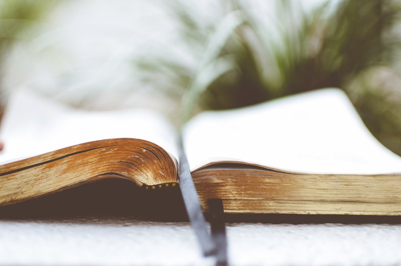 Open hardcover book with blank pages on a wooden surface
