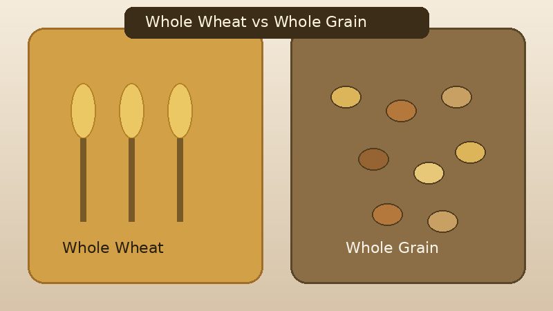 Comparison illustration of whole wheat versus whole grain foods